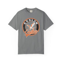 Avalon Eagles Vintage Mascot Comfort Colors T-Shirt